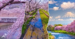 Spring In Japan