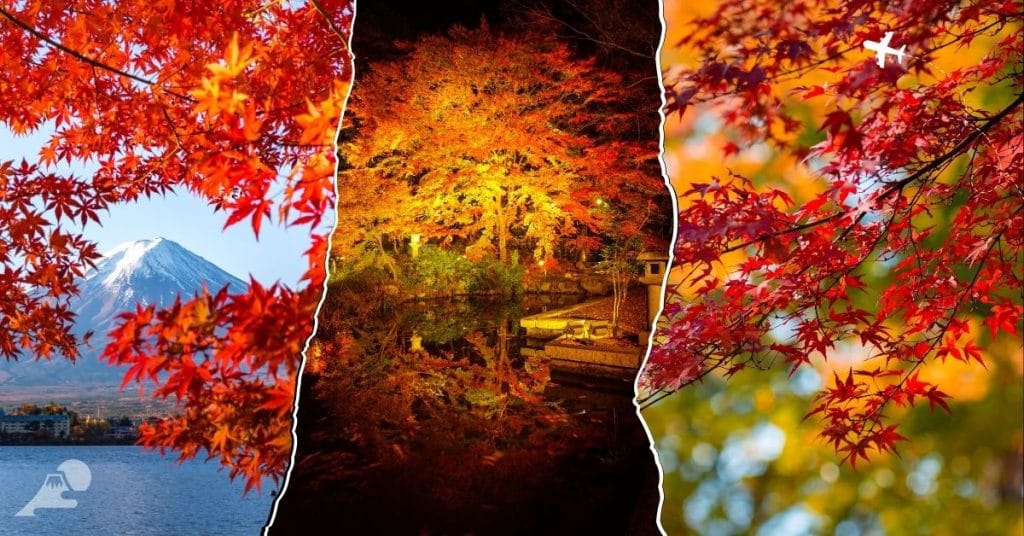 Seasonal Guide: What It’s Like to Live in Japan During Spring, Summer ...