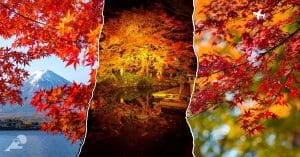 Autumn in Japan