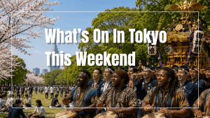 Yoyogi park with African drummers and mikoshi