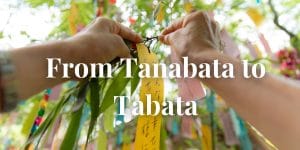 Person tying their Taanzaku to a tree