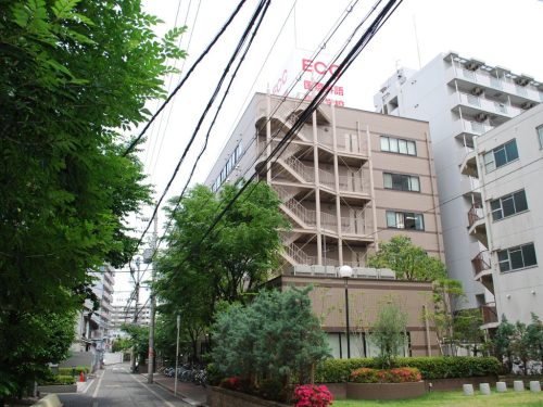 ECC-Kokusai-4